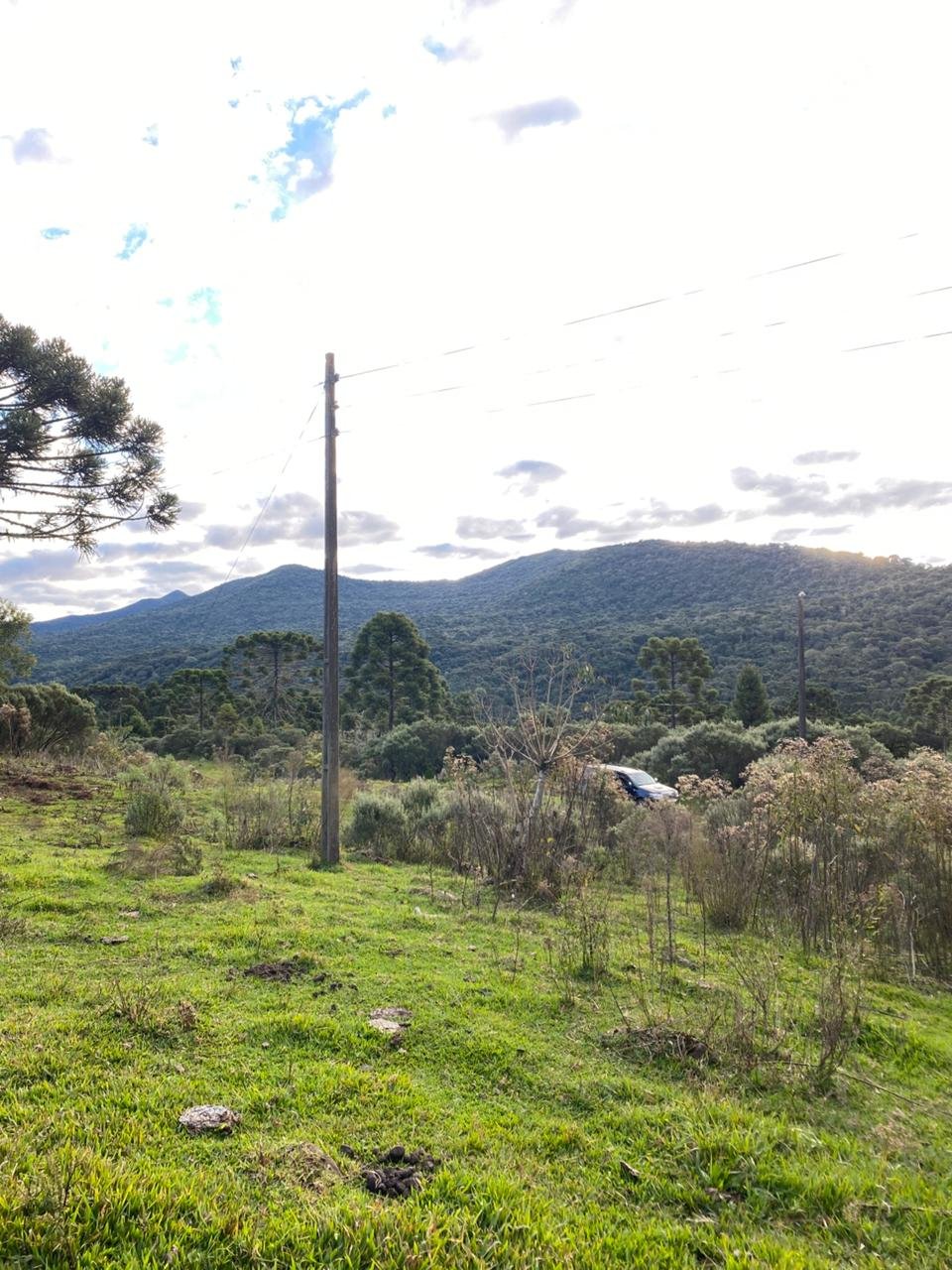 AREA DE 86 HECTARES - RIO RUFINO - SC - SANTA CATARINA - TERRENO (17)