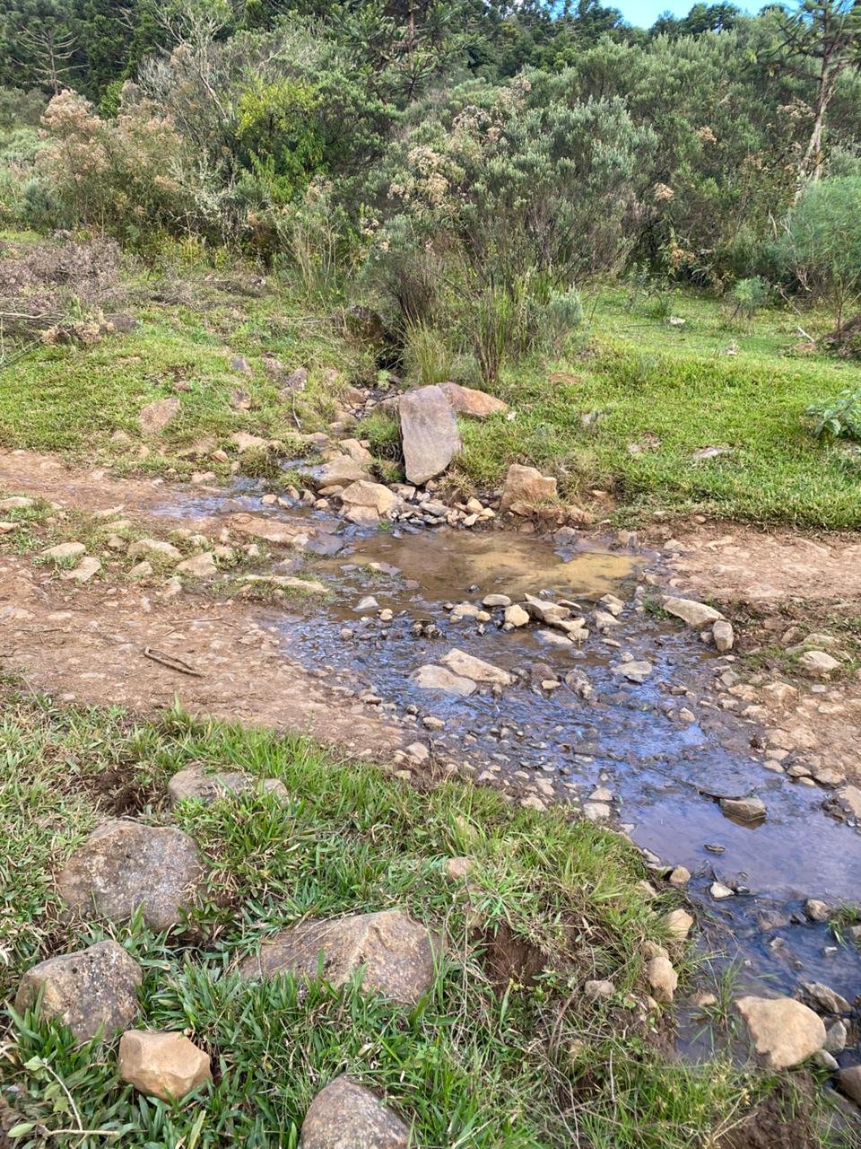 AREA DE 86 HECTARES - RIO RUFINO - SC - SANTA CATARINA - TERRENO (2)