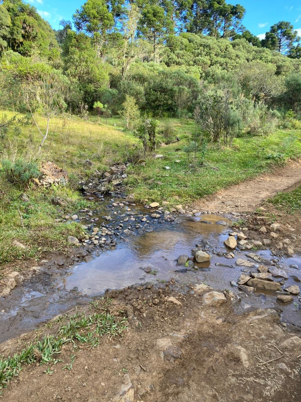 AREA DE 86 HECTARES - RIO RUFINO - SC - SANTA CATARINA - TERRENO (26)