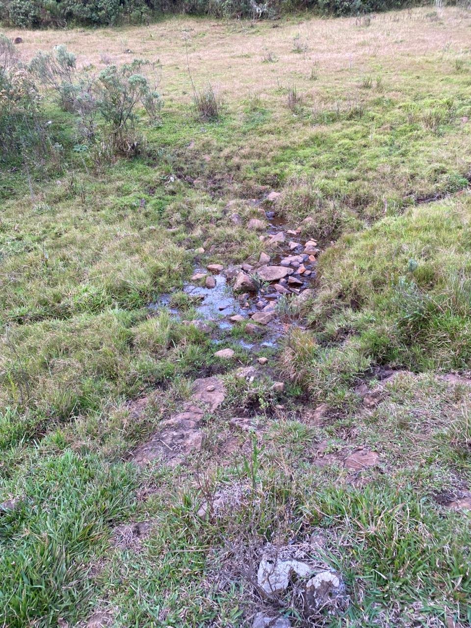 AREA DE 86 HECTARES - RIO RUFINO - SC - SANTA CATARINA - TERRENO (4)