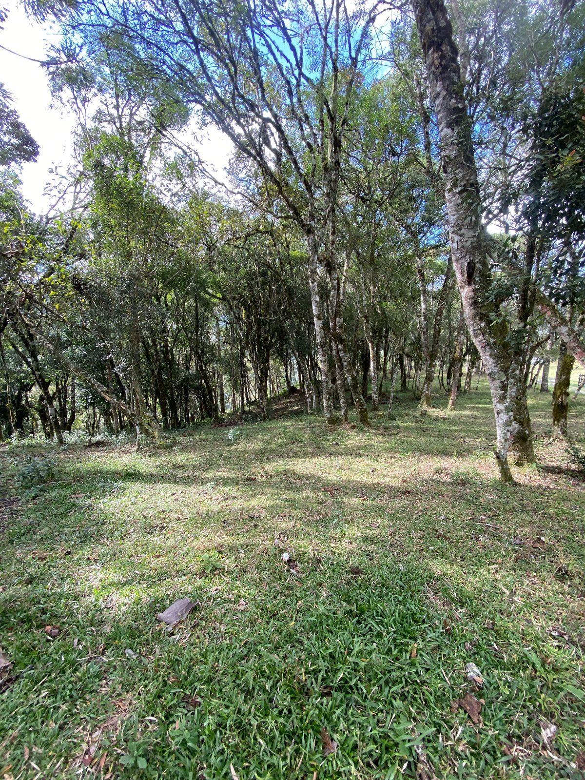 CASA CHALE - URUBICI - SANTA CATARINA (4)