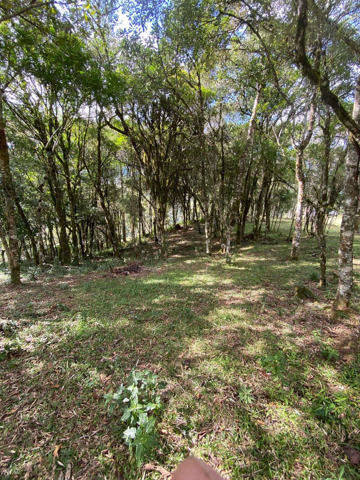 CASA CHALE - URUBICI - SANTA CATARINA (6)
