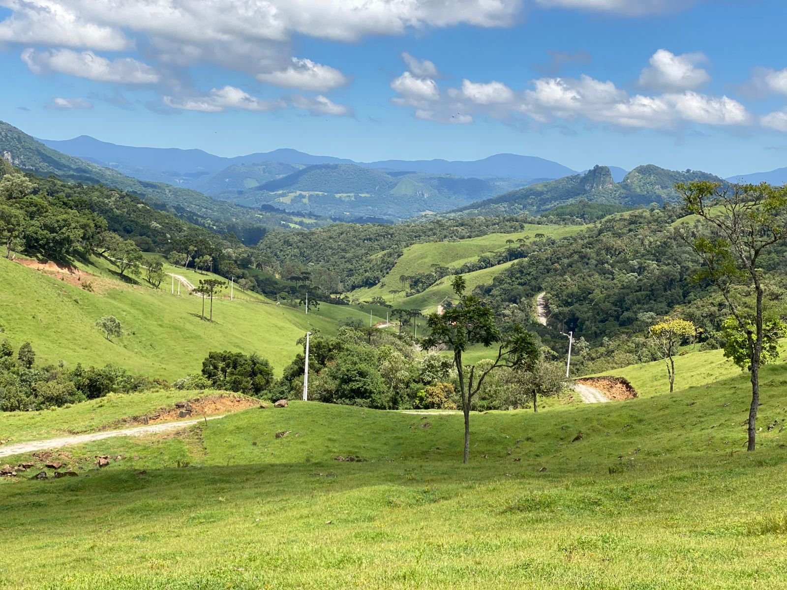 AREA RUAL - 2 HECTARES - RIO RUFINO - CORRETOR DE IMOVEIS (11)