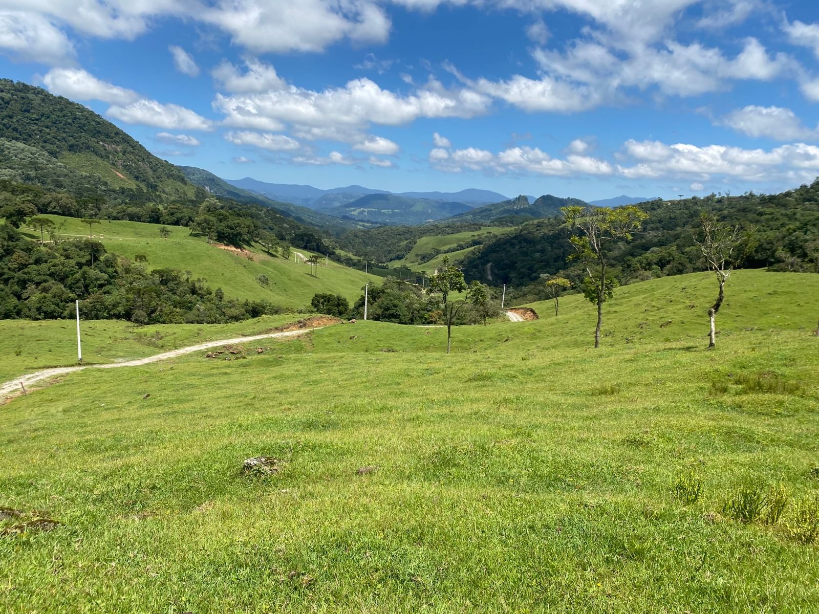 AREA RUAL - 2 HECTARES - RIO RUFINO - CORRETOR DE IMOVEIS (14)