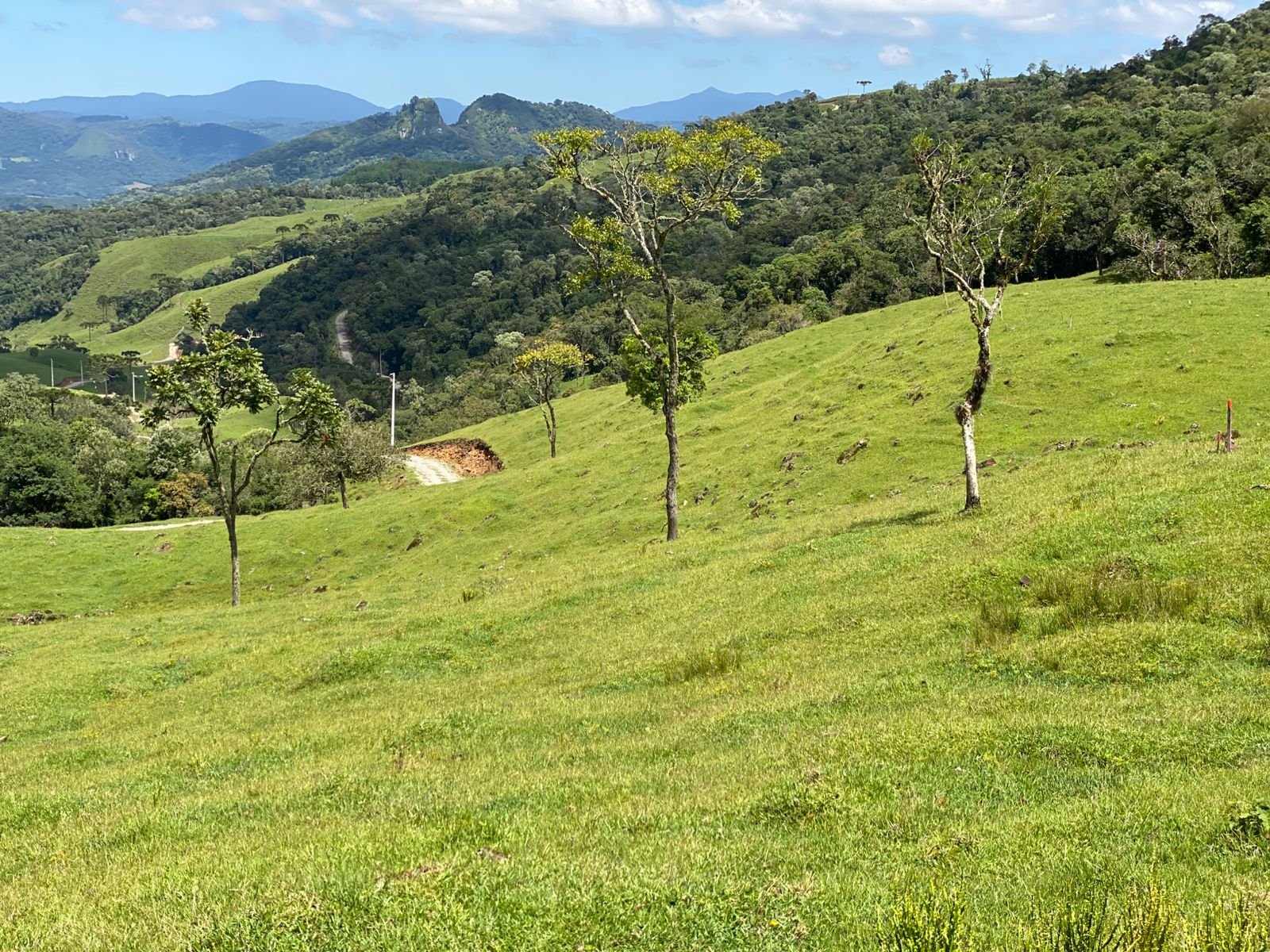 AREA RUAL - 2 HECTARES - RIO RUFINO - CORRETOR DE IMOVEIS (17)