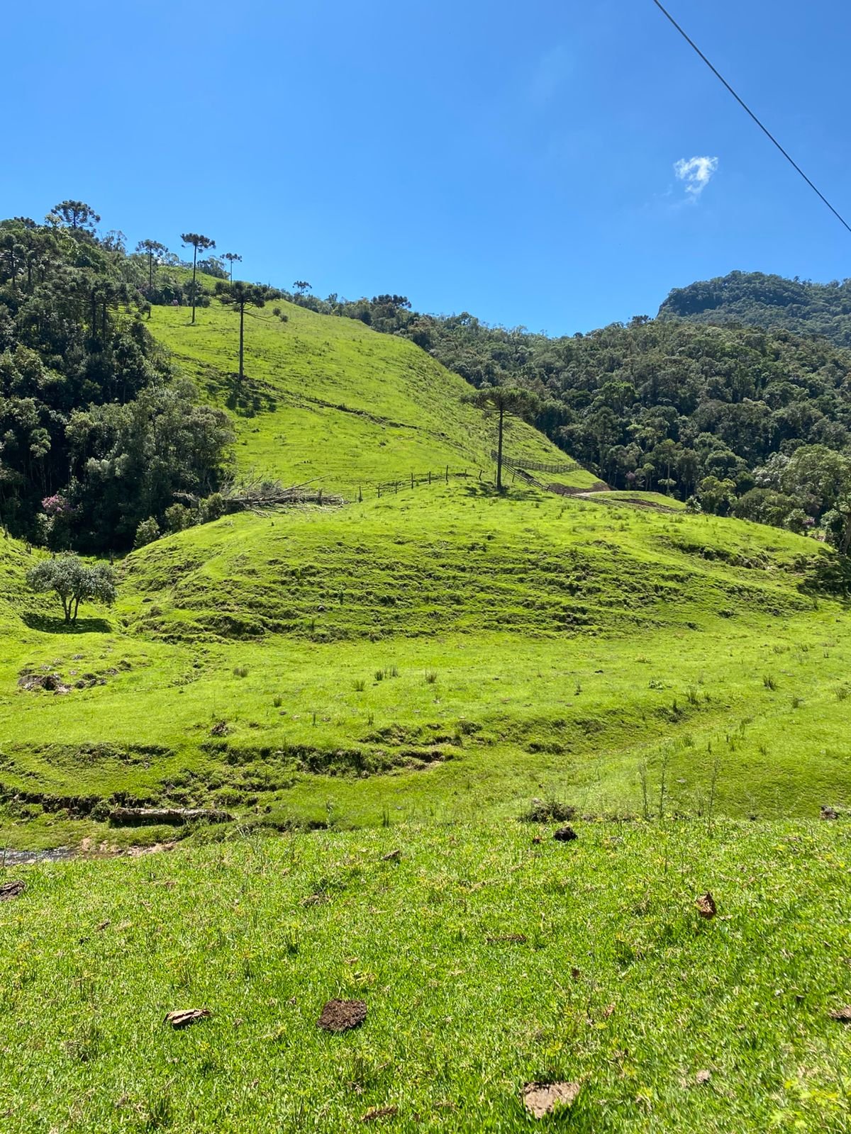 AREA RUAL - 2 HECTARES - RIO RUFINO - CORRETOR DE IMOVEIS (3)