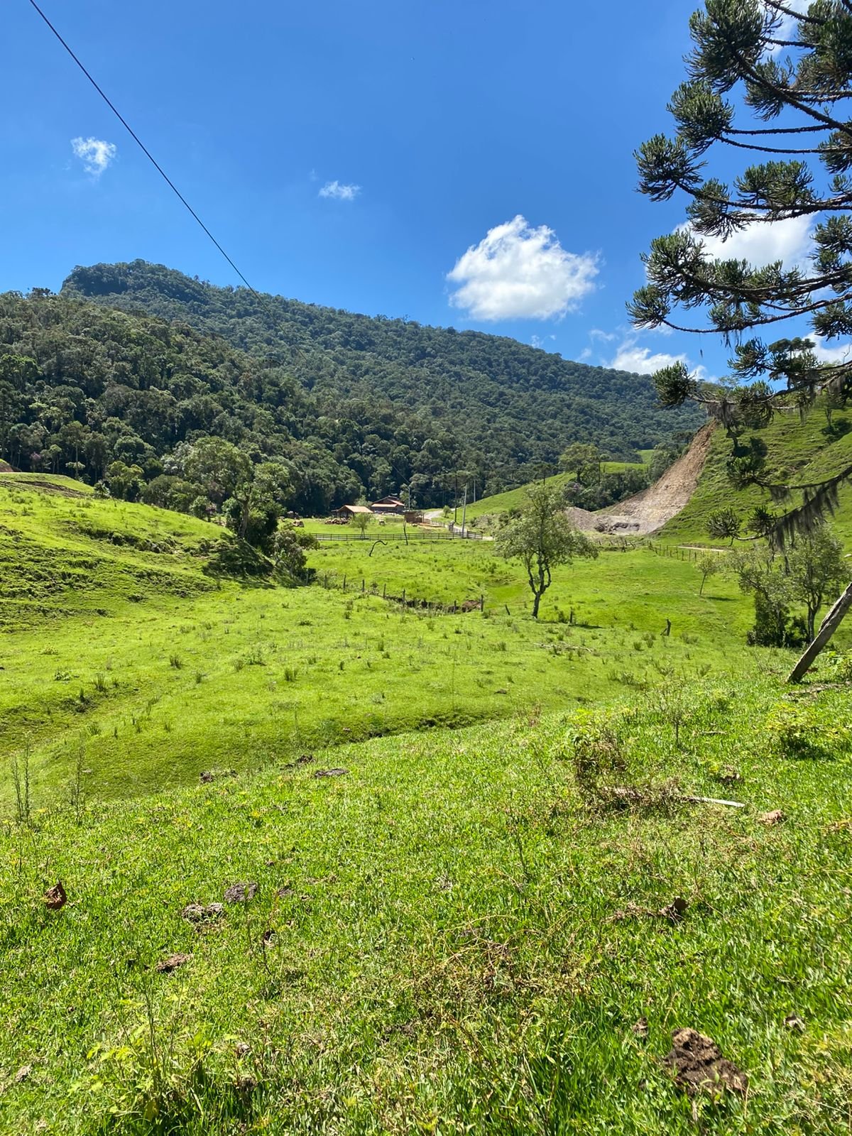 AREA RUAL - 2 HECTARES - RIO RUFINO - CORRETOR DE IMOVEIS (6)