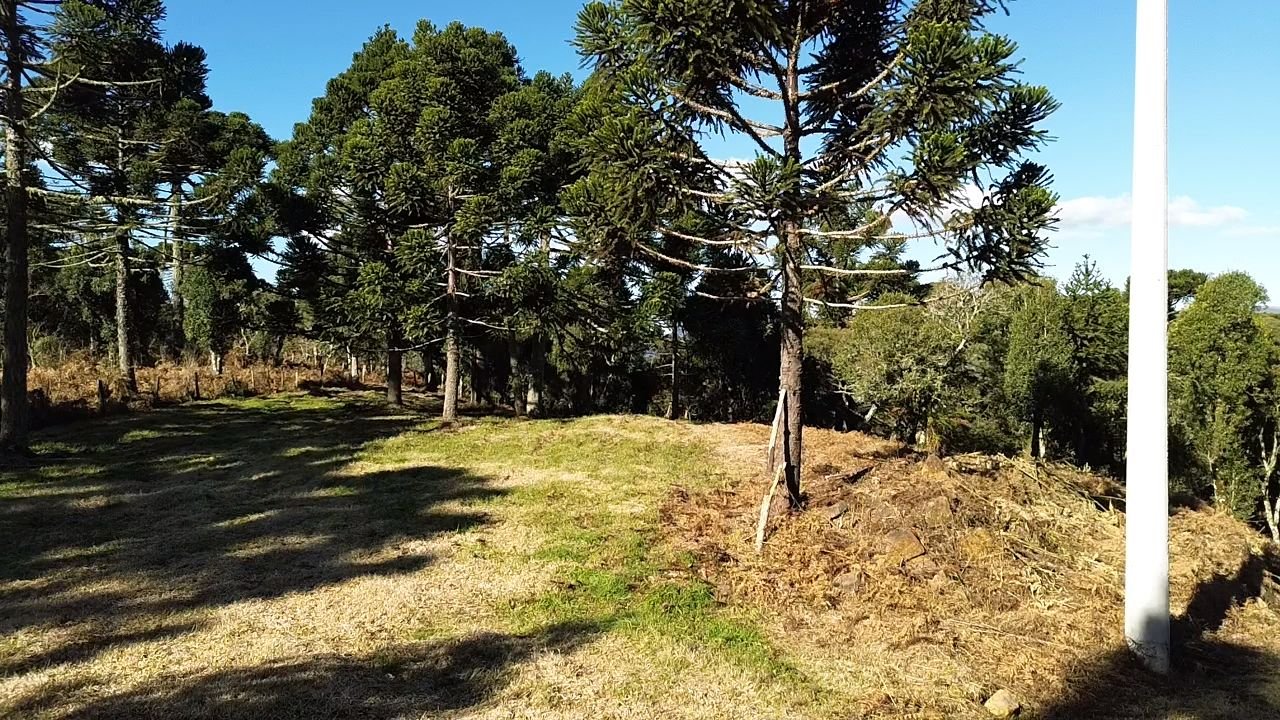 CHACARA EM URUBICI - VENDA DE CHACARA -URUBICI SANTA CATARINA - VENDE CHACARA (1)