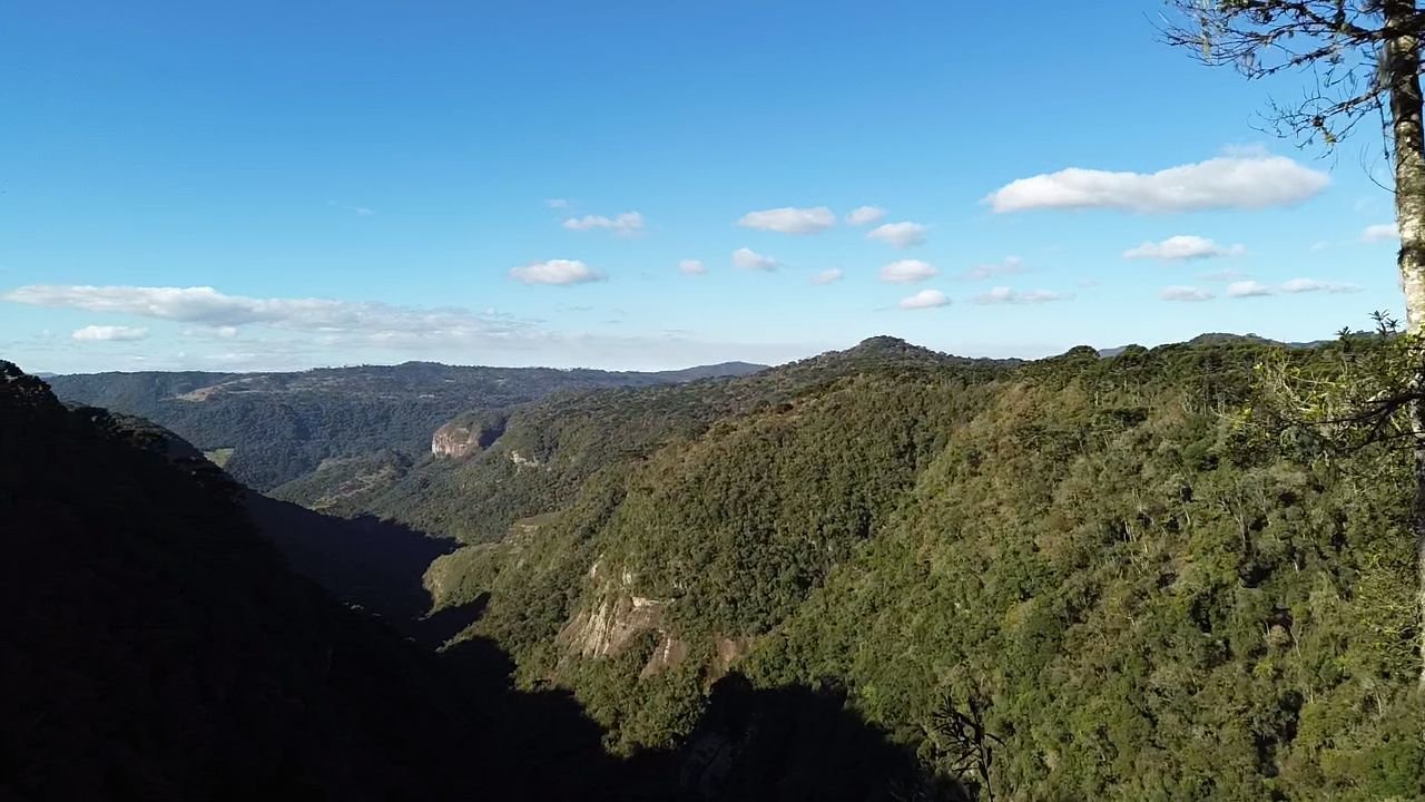 CHACARA EM URUBICI - VENDA DE CHACARA -URUBICI SANTA CATARINA - VENDE CHACARA (10)