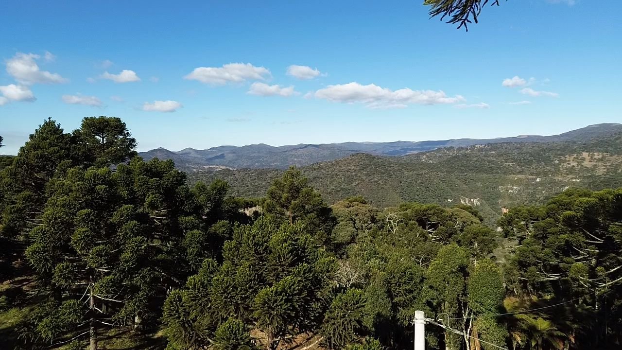 CHACARA EM URUBICI - VENDA DE CHACARA -URUBICI SANTA CATARINA - VENDE CHACARA (3)