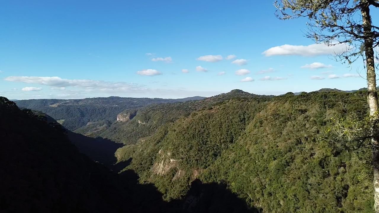 CHACARA EM URUBICI - VENDA DE CHACARA -URUBICI SANTA CATARINA - VENDE CHACARA (7)