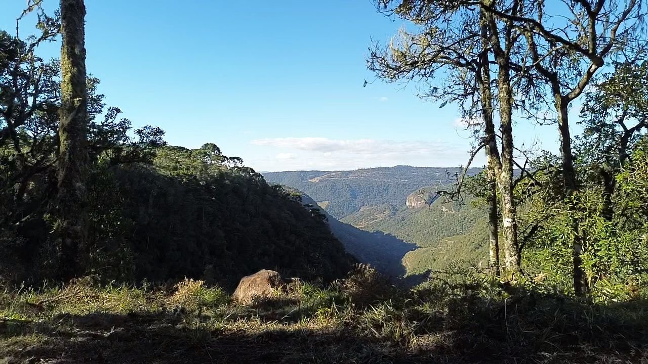 CHACARA EM URUBICI - VENDA DE CHACARA -URUBICI SANTA CATARINA - VENDE CHACARA (8)