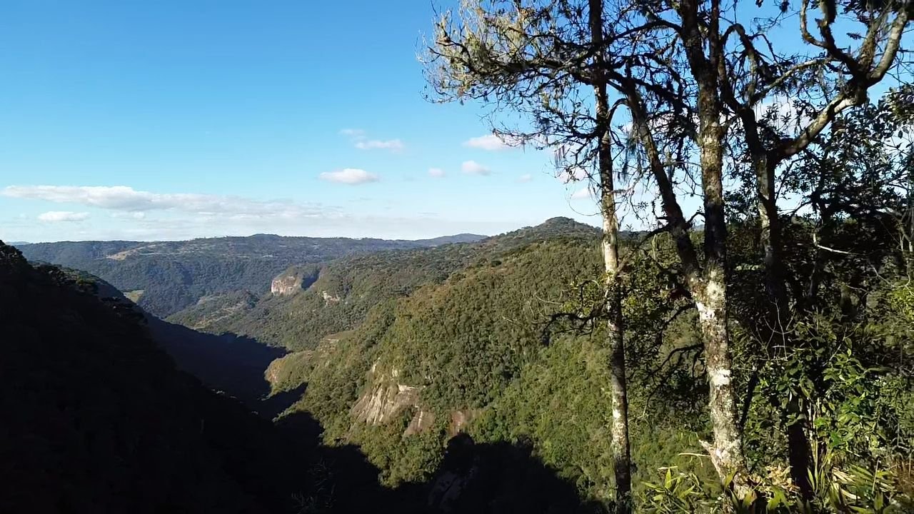 CHACARA EM URUBICI - VENDA DE CHACARA -URUBICI SANTA CATARINA - VENDE CHACARA (9)