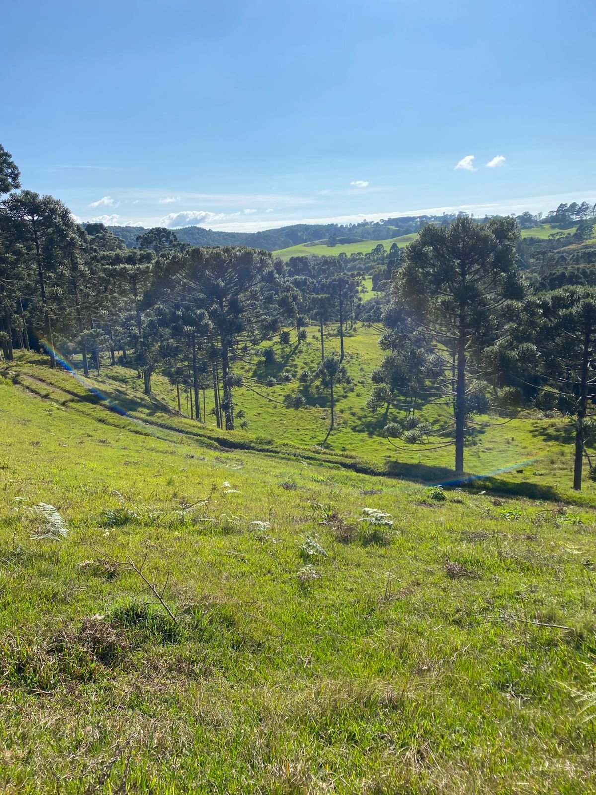CORRETOR BOCAINA SO SUL - IMOVEIS- (10)