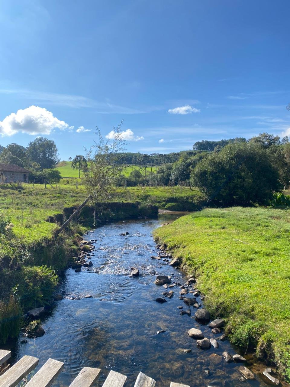 CORRETOR BOCAINA SO SUL - IMOVEIS- (11)
