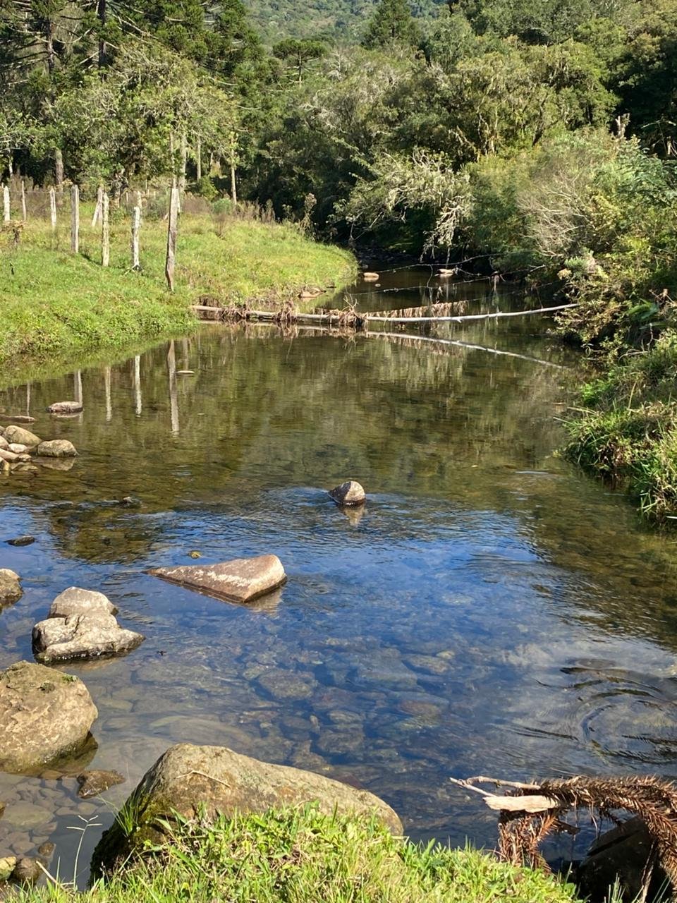 CORRETOR BOCAINA SO SUL - IMOVEIS- (14)