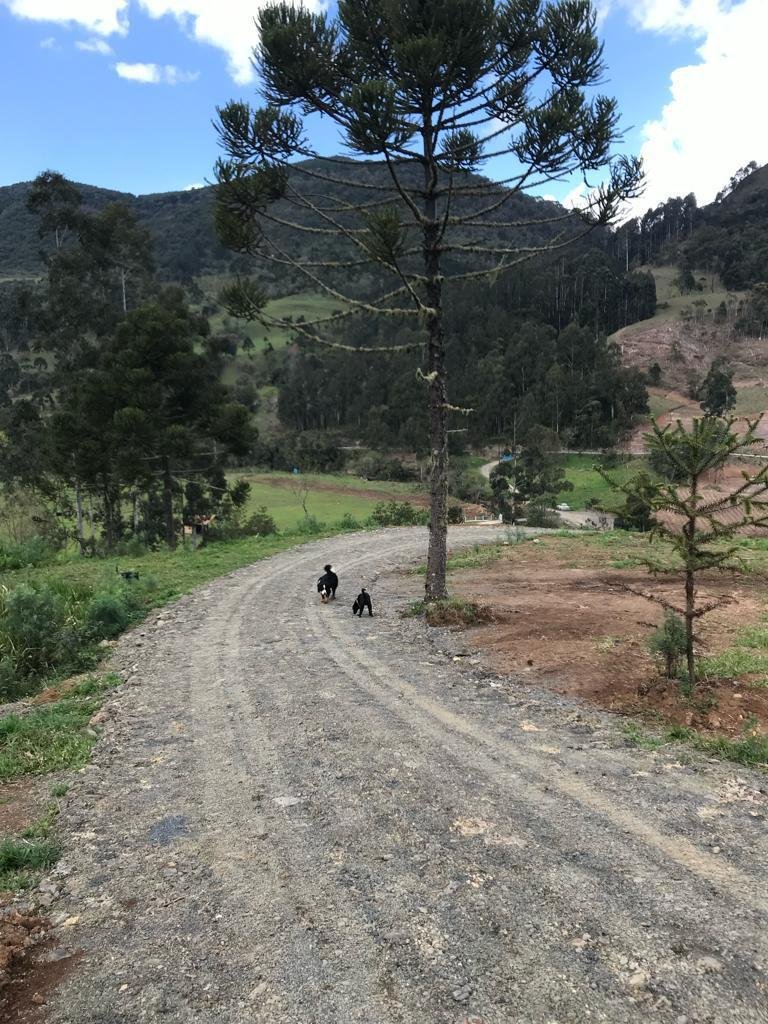 FAZENDA COMPLETA - URUBICI SANTA CATARINA - MOUNTAINIMOVEIS - SANTA CATARINA - CORRETOR DE IMOVEIS EM URUBICI (1)