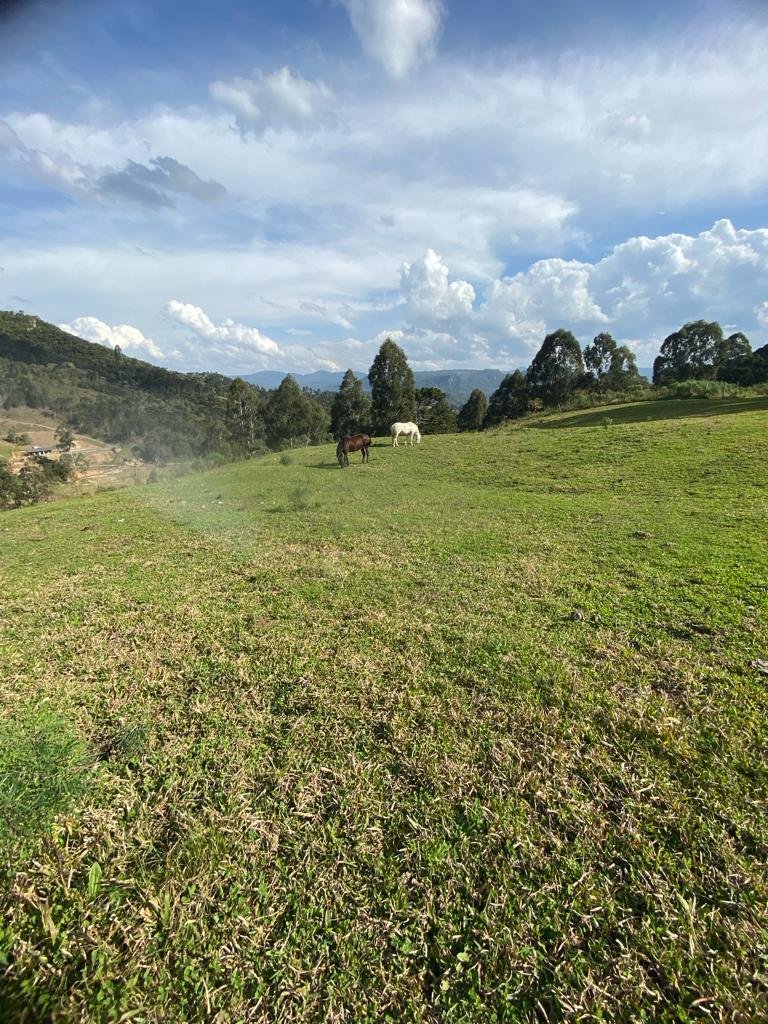 FAZENDA COMPLETA - URUBICI SANTA CATARINA - MOUNTAINIMOVEIS - SANTA CATARINA - CORRETOR DE IMOVEIS EM URUBICI (11)