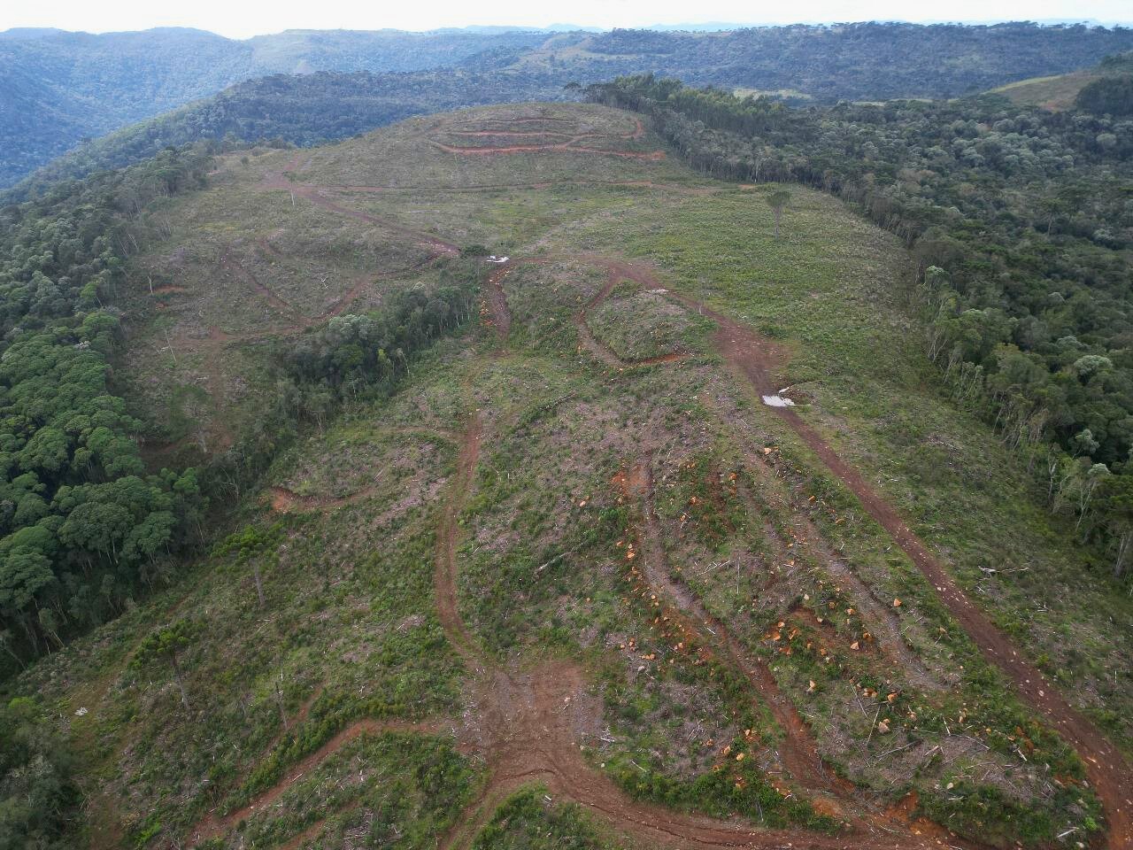 HECTARES EM URUBICI - URUBICI SANTA CATARINA - FAZENDA - CORRETORA EM URUBICI (1)