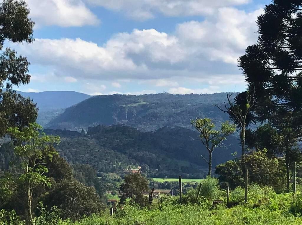 HECTARES EM URUBICI - URUBICI SANTA CATARINA - FAZENDA - CORRETORA EM URUBICI (6)