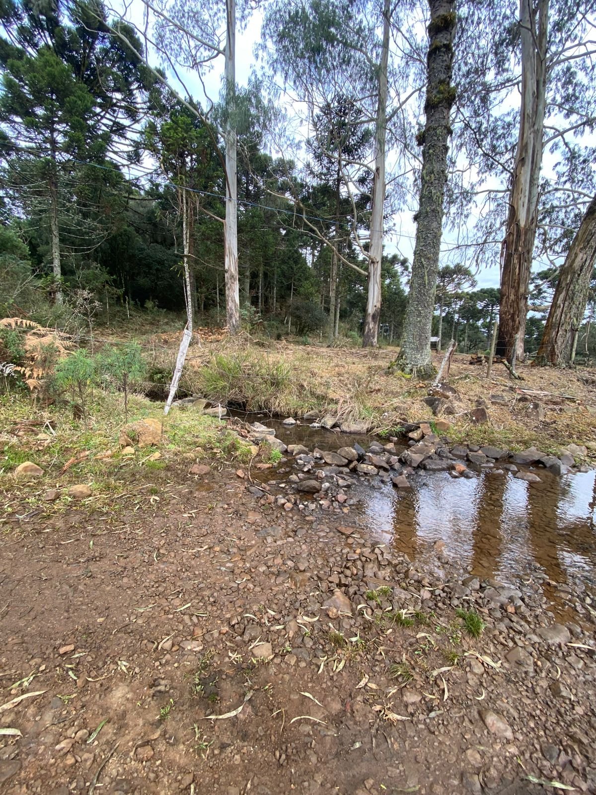 URUBICI SC- CORRETOR DE IMOVEIS- SERRA CATARINENSE - SC (10)