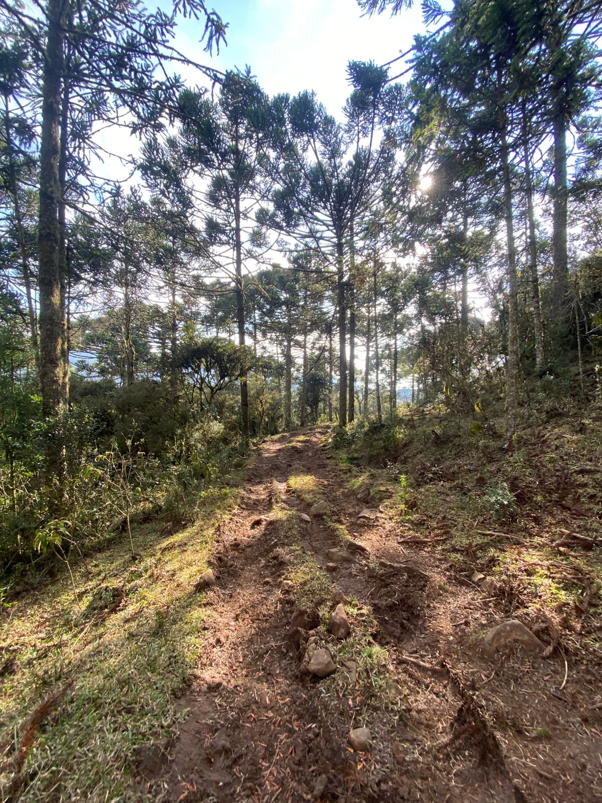 URUBICI SC- CORRETOR DE IMOVEIS- SERRA CATARINENSE - SC (22)