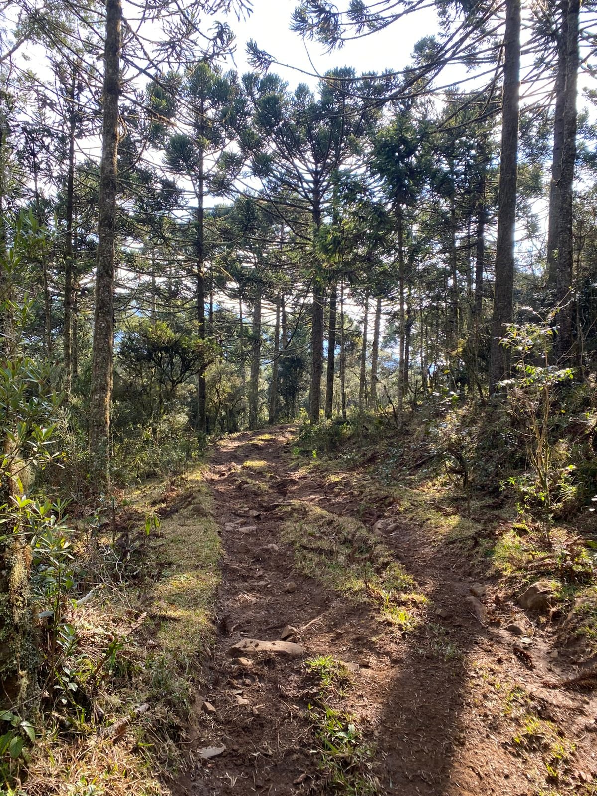 URUBICI SC- CORRETOR DE IMOVEIS- SERRA CATARINENSE - SC (23)