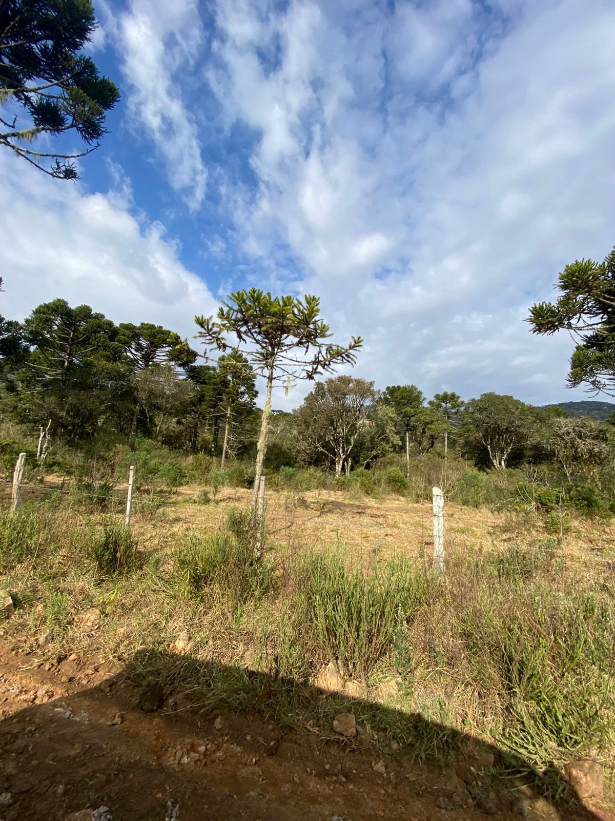URUBICI SC- CORRETOR DE IMOVEIS- SERRA CATARINENSE - SC (25)