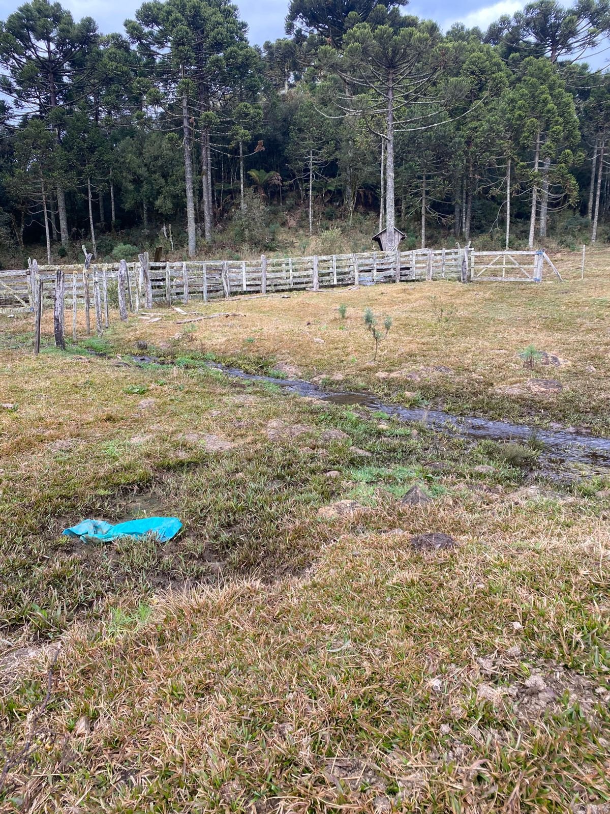 URUBICI SC- CORRETOR DE IMOVEIS- SERRA CATARINENSE - SC (5)