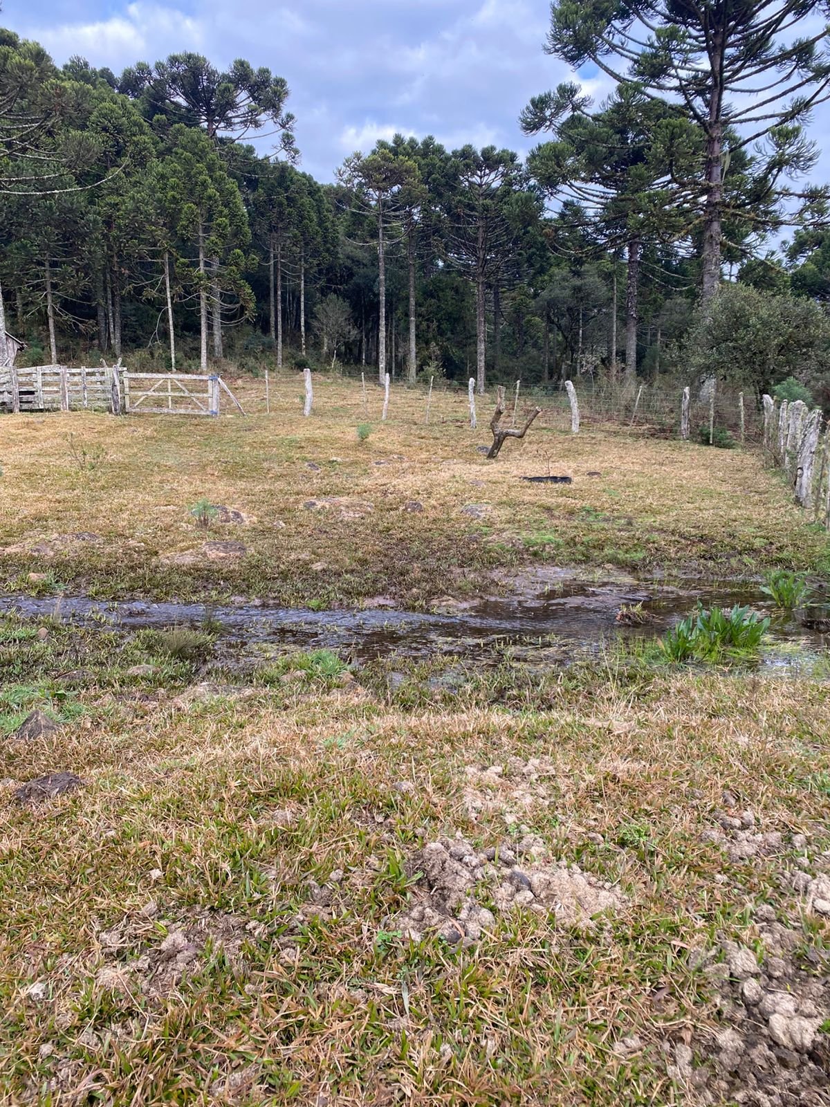 URUBICI SC- CORRETOR DE IMOVEIS- SERRA CATARINENSE - SC (6)