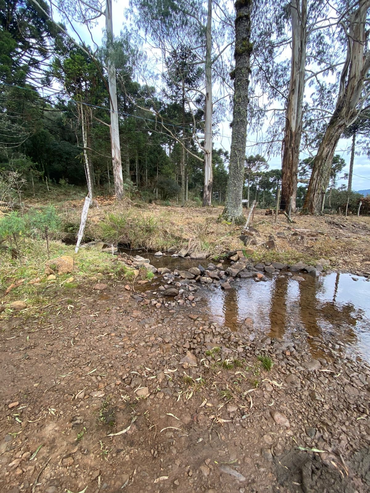 URUBICI SC- CORRETOR DE IMOVEIS- SERRA CATARINENSE - SC (7)