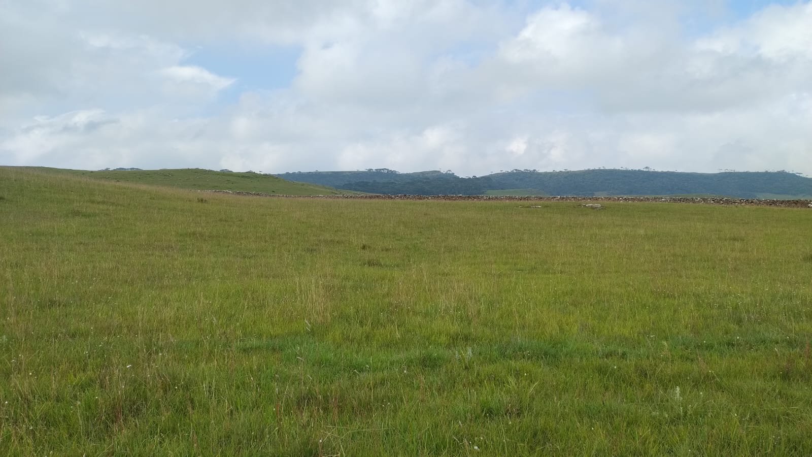 VENDA DE ÁREA RURUAL BOM JARDIM SANTA CATARINA CORRETOR DE IMOVEIS IMOVEISMOUNTAIN (1)