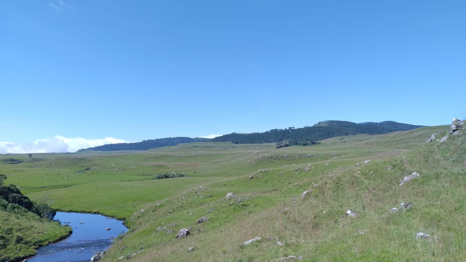 VENDA DE ÁREA RURUAL BOM JARDIM SANTA CATARINA CORRETOR DE IMOVEIS IMOVEISMOUNTAIN (10)