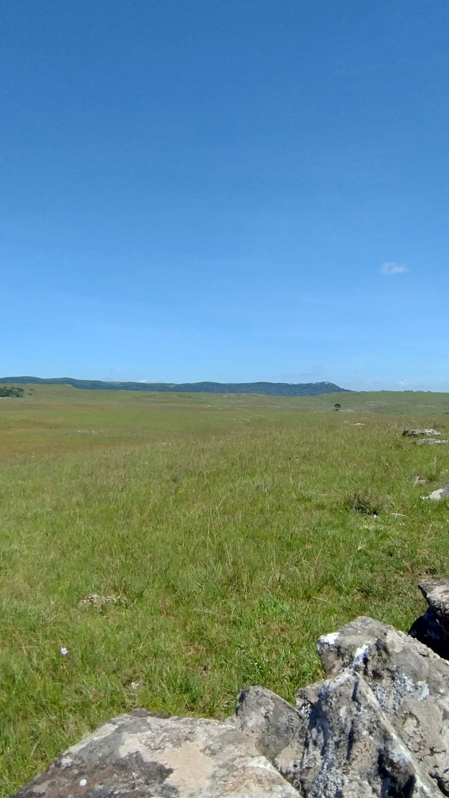 VENDA DE ÁREA RURUAL BOM JARDIM SANTA CATARINA CORRETOR DE IMOVEIS IMOVEISMOUNTAIN (15)