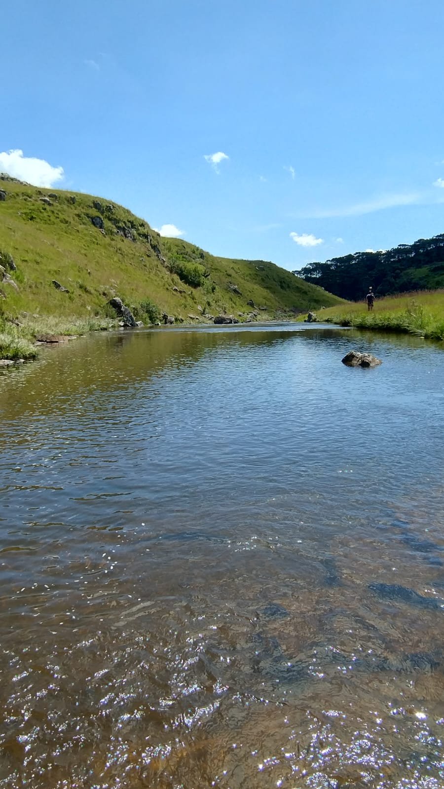 VENDA DE ÁREA RURUAL BOM JARDIM SANTA CATARINA CORRETOR DE IMOVEIS IMOVEISMOUNTAIN (18)