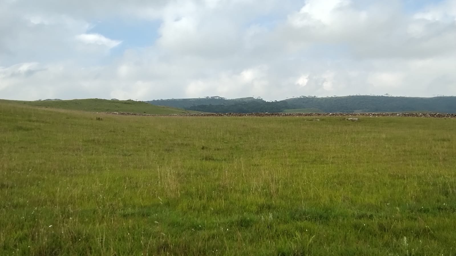 VENDA DE ÁREA RURUAL BOM JARDIM SANTA CATARINA CORRETOR DE IMOVEIS IMOVEISMOUNTAIN (2)