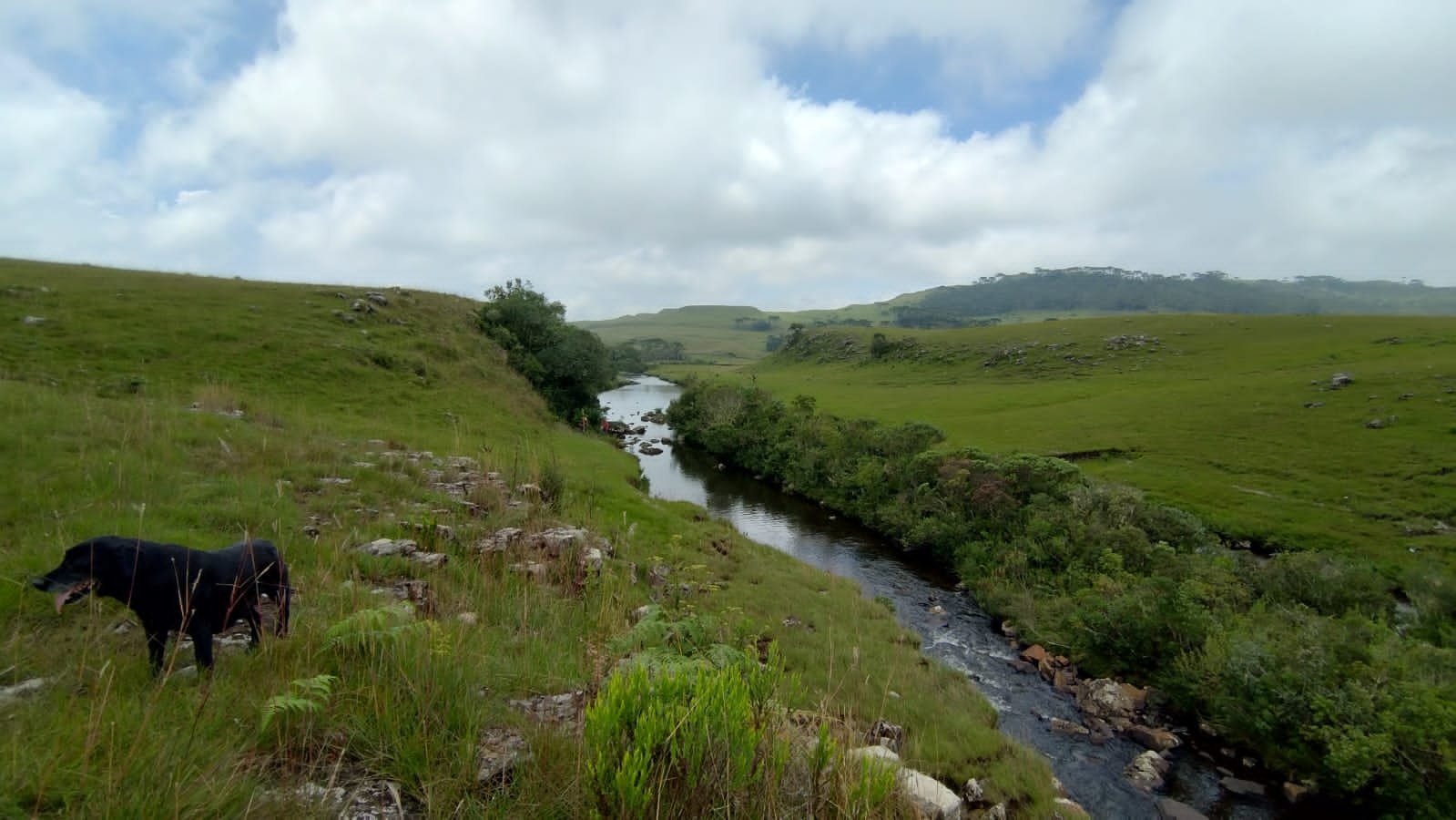 VENDA DE ÁREA RURUAL BOM JARDIM SANTA CATARINA CORRETOR DE IMOVEIS IMOVEISMOUNTAIN (22)