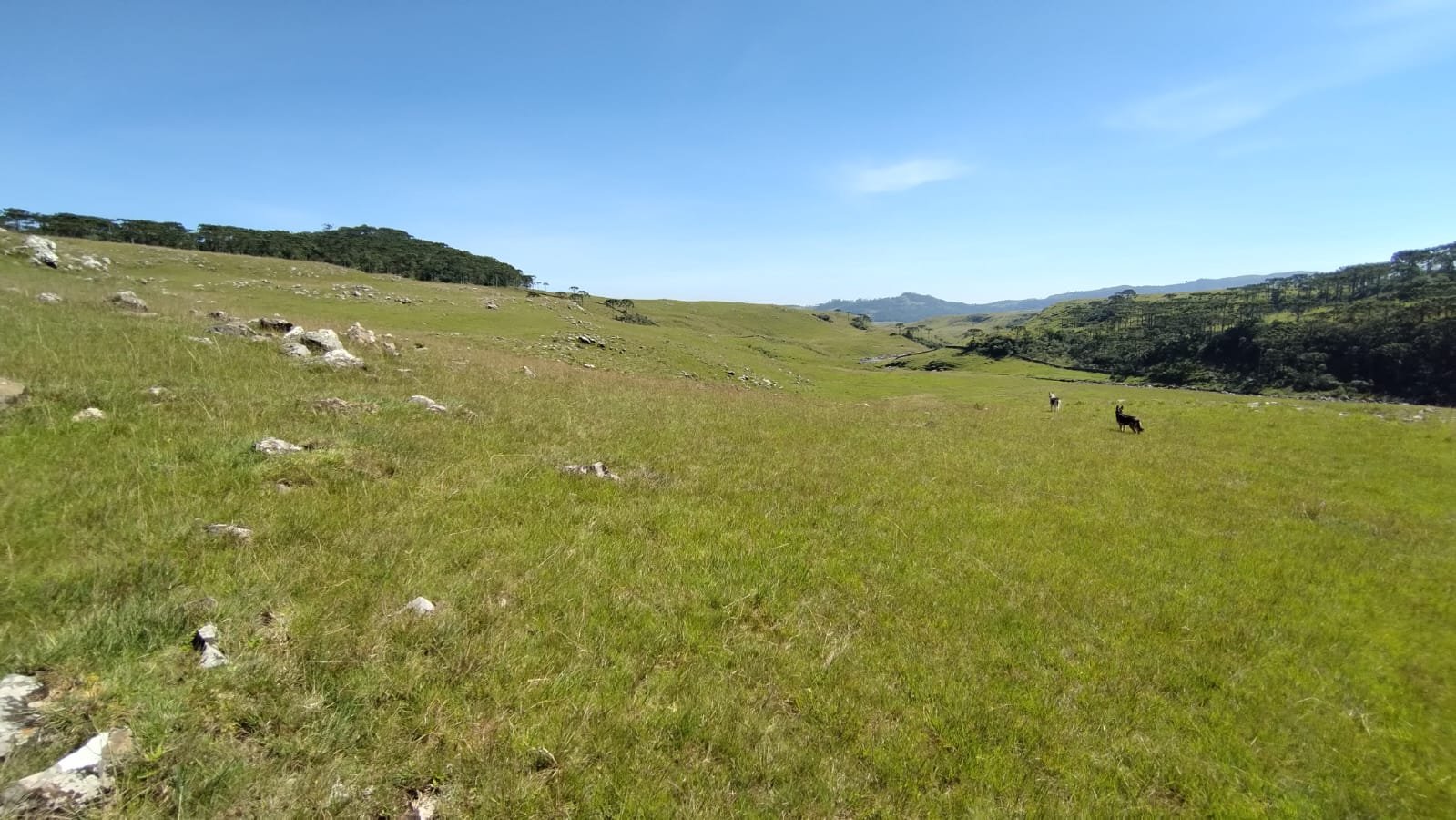 VENDA DE ÁREA RURUAL BOM JARDIM SANTA CATARINA CORRETOR DE IMOVEIS IMOVEISMOUNTAIN (5)