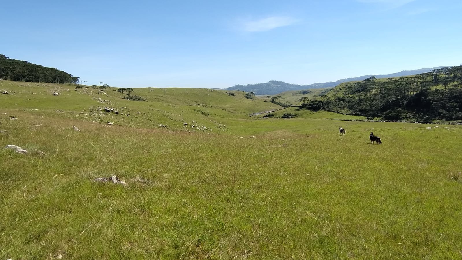 VENDA DE ÁREA RURUAL BOM JARDIM SANTA CATARINA CORRETOR DE IMOVEIS IMOVEISMOUNTAIN (6)