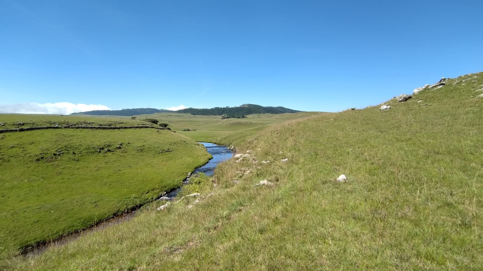 VENDA DE ÁREA RURUAL BOM JARDIM SANTA CATARINA CORRETOR DE IMOVEIS IMOVEISMOUNTAIN (7)