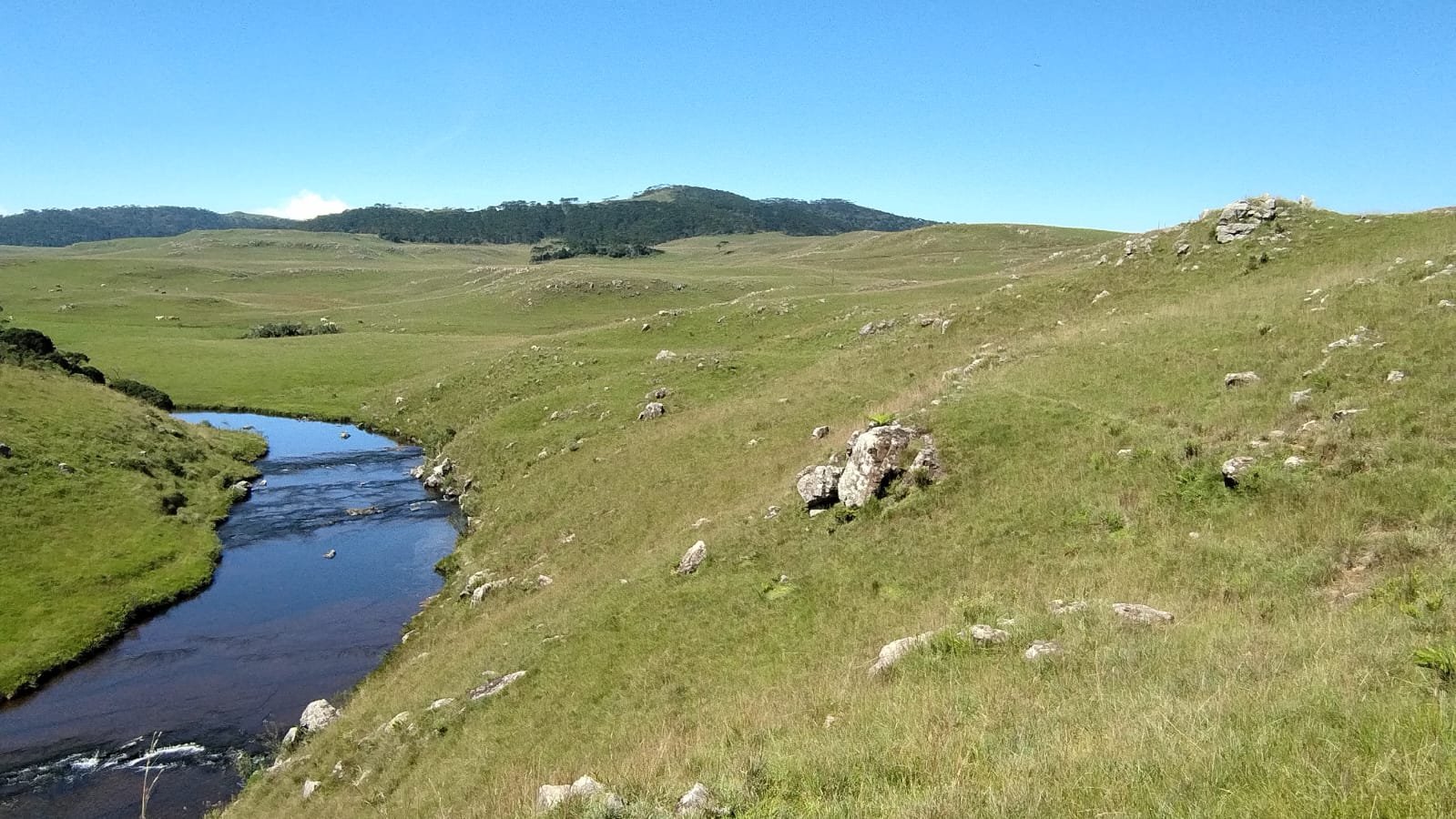 VENDA DE ÁREA RURUAL BOM JARDIM SANTA CATARINA CORRETOR DE IMOVEIS IMOVEISMOUNTAIN (8)