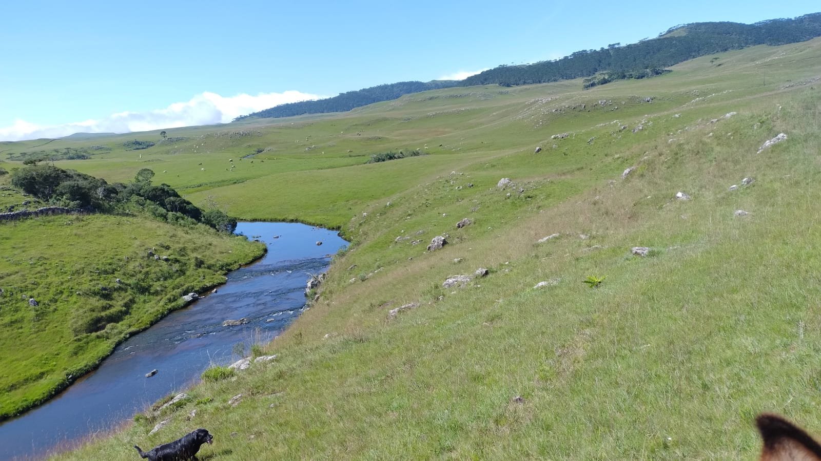 VENDA DE ÁREA RURUAL BOM JARDIM SANTA CATARINA CORRETOR DE IMOVEIS IMOVEISMOUNTAIN (9)